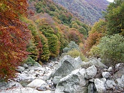 VGrande06 028